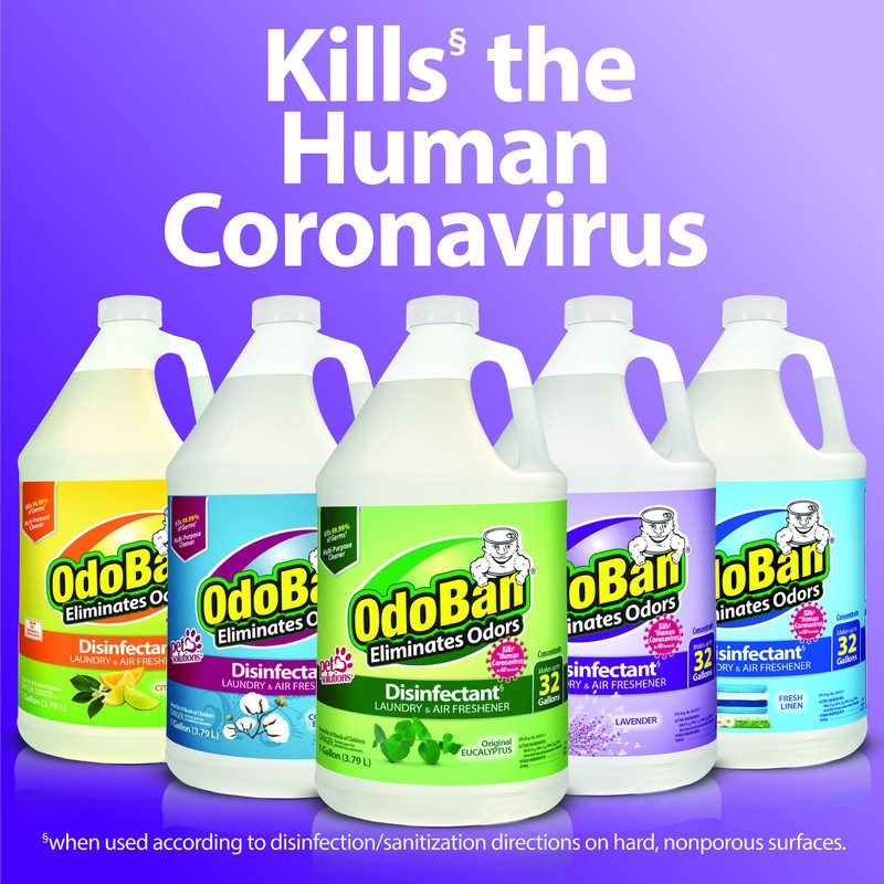 OdoBan Disinfectant Concentrate and Odor Eliminator, 1 Gallon, Citrus Scent