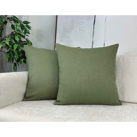 Aiking 2 Pieces of 18" x 18" Brushed 100% Polyester Decorative Throw Pillow Covers, Zipper Closure, Basil
