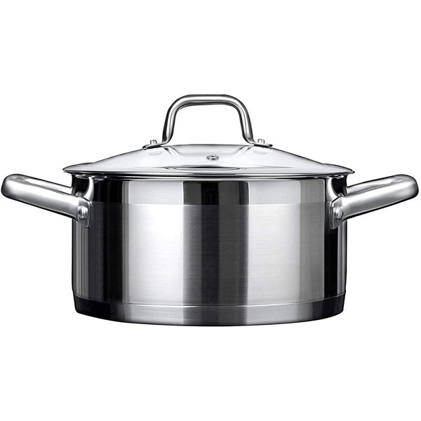 Duxtop Professional Stainless Steel Cookware Induction Ready Impact-bonded Technology (4.2Qt Stockpot)