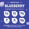 Blueberry Hydration Powder – Zero Sugar Electrolyte Drink Mix |