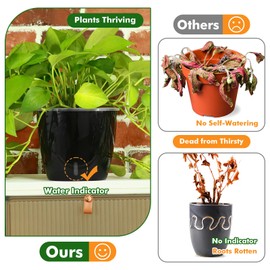 Planterhoma 6.7 Inch Self Watering Pots for Indoor Plants, 8 Packs Self Watering Planters for Orchid, Spider Plant, Devil's Ivy & African Violet, Water Indicator & Black Wick Pots, Black