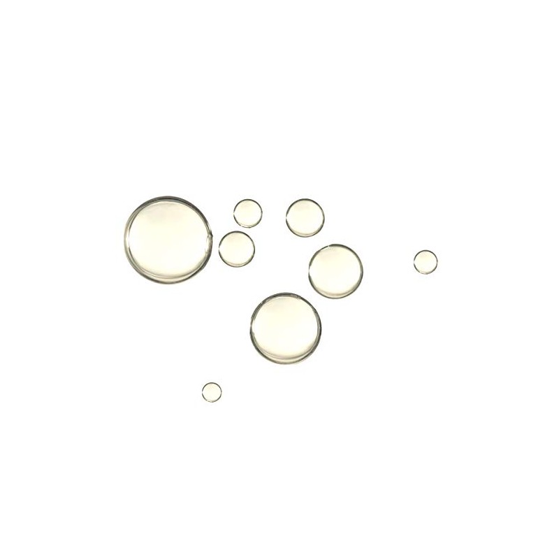 Whish Beauty Leche de coco + aceite corporal luminoso Verbena