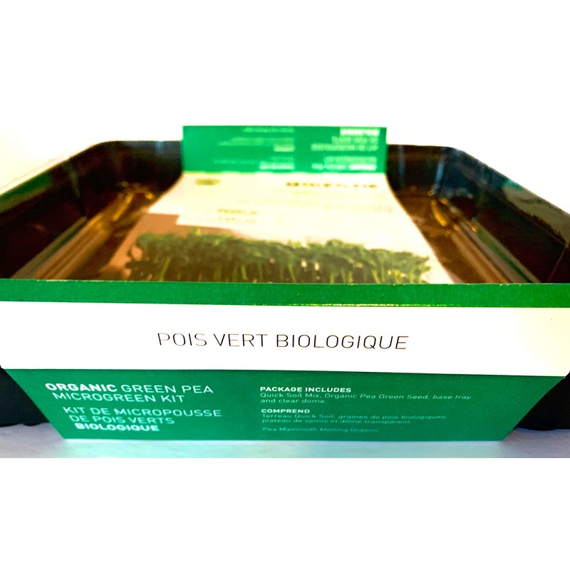 Green Pea Microgreens Grow Kit