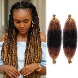 RENJOING Afro Twist Hair Afro Twist Braiding Hair Pre-Separated Springy Afro Twist Hair (1B/30/27#, 30 Inch (Pack of 2))