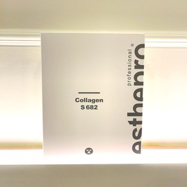 Estemax 1+1 Estepro Collagen Mask Pack 20 sheets / 1+1 에스테프로 콜라겐 마스크팩 20매