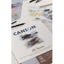 CANSON Mi-Teintes C31032P005 Coloured Drawing Paper, Double-Sided: Honeycomb Structure and Fine Grain, 160 gsm, 98 lb, Glued Pad on the Short Side, 24 x 32 cm, 4 Cool Tones, 20 Sheets