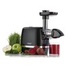 Omega H3000D Cold Press 365 Juicer Slow Masticating Extractor Creates