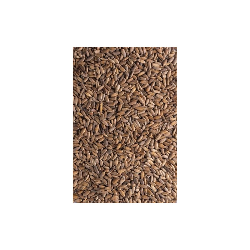 Biojoy Biojoy BIO-Mariendistelsamen ganz (1 kg), ideal fr Mariendistel Tee