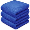 Towelogy® Super Absorbent Microfibre Cloth | Absorbs Over 10 Times