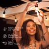 Brightech Ambience Pro Solar Powered Outdoor String Lights, 48 ft