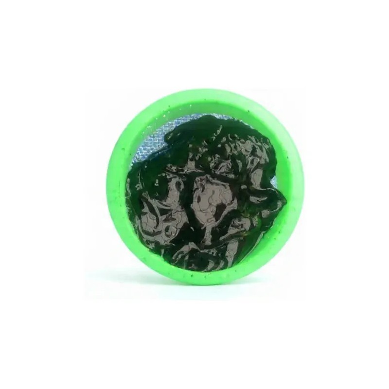 Espirulina Viva Alga Semilla Natural Culitvo