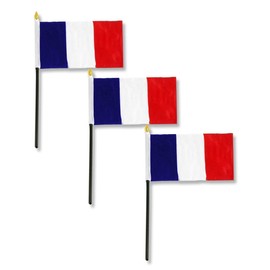 France Flag 4 x 6 inch (3 PK)