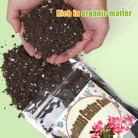 Doter Christmas Cactus Potting Soil Mix 2qt, Ideal for Succulents, Christmas Cacti, and Other Indoor Potted Plantings