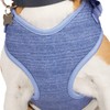 EveryYay Heather Pullover Dog Harness, Purple, Large