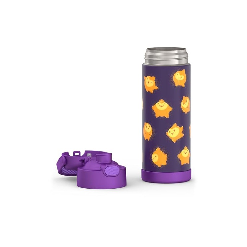 THERMOS FUNTAINER 16 Ounce Stainless Steel Bottle, Wish