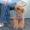 EXCELLENT ELITE SPANKER No Pull Dog Harness Reflective Nylon Vest
