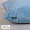 Phantoscope Velvet Throw Pillow Covers, Set of 2, Simple Cushion