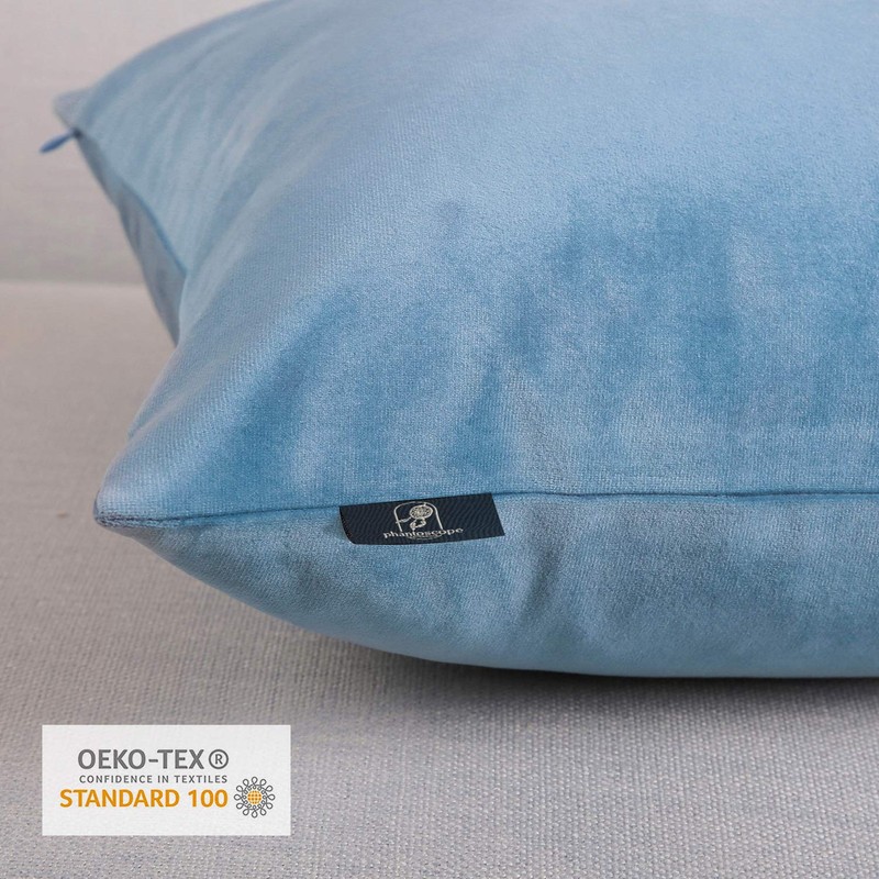 Phantoscope Velvet Throw Pillow Covers, Set of 2, Simple Cushion