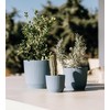 Tymar Flower Pot, Planter, Pack of 2, Plastic Flower Pot,
