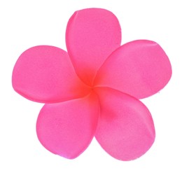 DDazzling Hawaii Flowers Garland Headdress Flower Clip with Moana Necklace Party Theam Dress Up Accessory Set (Green Pink Blue)