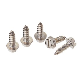 Speedy Bolts Stainless Steel License Plate Screws Pack of 4 Plus 1 Spare