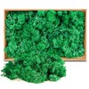 ZUZGO Moss Preserved Decorative Moss for Crafts Moss Picture Model