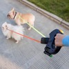 Doble correa de perro retráctil para el pequeño cinturón de