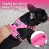 PoyPet No Pull Dog Harness, No Choke Reflective Dog Vest,