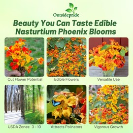 Outsidepride Phoenix Mix Nasturtium Seeds - 50 Pcs Annual, Easy to Grow & Versatile, Flower Seeds for Planting Vibrant Blooms, Ideal for Gardens, Borders, and Pollinator Gardens