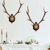 Yopay 12 Pack European Mount Skull Hangers, Deer Skull Mount