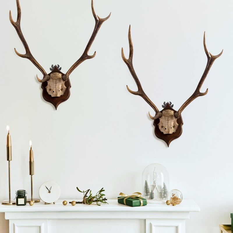 Yopay 12 Pack European Mount Skull Hangers, Deer Skull Mount