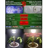 E12 Candelabra Grow Light Bulbs for Indoor Plants Full Spectrum,Small