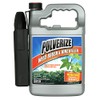 Pulverize PWBV-B-128-S, Brush & Vine Ready to Use Weed Killer,
