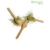 DISPOSABLE GREEN® | Box of 200 Spoons | Sturdy and