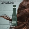 Nexxus Diametress Volume Shampoo for Fine and Flat Hair 13.5