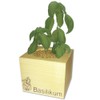 ecocube Wooden Cube Basil