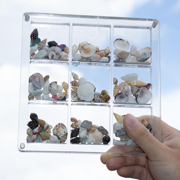 Acrylic Seashell Display Case - 9 Seashell Display Box, Transparent