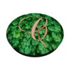 C Pink Clover Shamrock 4 Leaf Plant Initial Monogram Letter