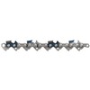 Oregon Chain, 21LPX064E