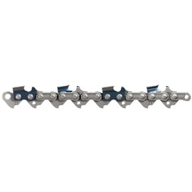 Oregon Chain, 21LPX064E