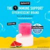 Airborne® Effervescent Tablets - Electrolyte Replenisher - Watermelon 72/10 ct.