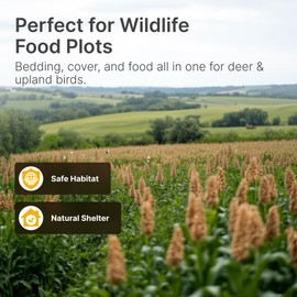 Hit List Seed® Grain Sorghum Food Plot Seeds for Deer [Annual Mix] - Deer Food Plot Seed - Sorghum Seeds for Planting - Deer Plot Seed Mix - 100% Grain Sorghum - Summer & Spring Planting - 5 lbs