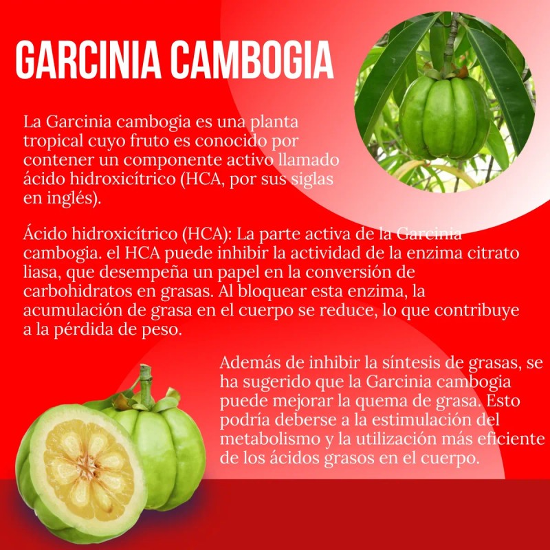 Suplemento Sper Reductivo Intenso 90 Cpsulas Sin Sabor