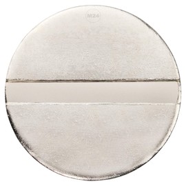 Münzer24 Pd25 Token for KDK Coin Timer, Profile Token 25 mm x 2 mm Brass (Pack of 50, Nickel-Plated)