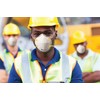 Shawmut Protex™ N95 Mask Particulate Respirators NIOSH Approved Made in
