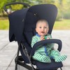 hauck Lightweight and Compact Travel Baby/Toddler Foldable Stroller, Sport, Dark
