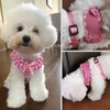 SuperBuddy Upgraded Soft Mesh Dog Harness, Super Breathable Lightweight Pet