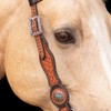 Schneiders Ranch Turquoise Concho Two-Tone One Ear Headstall for Horses