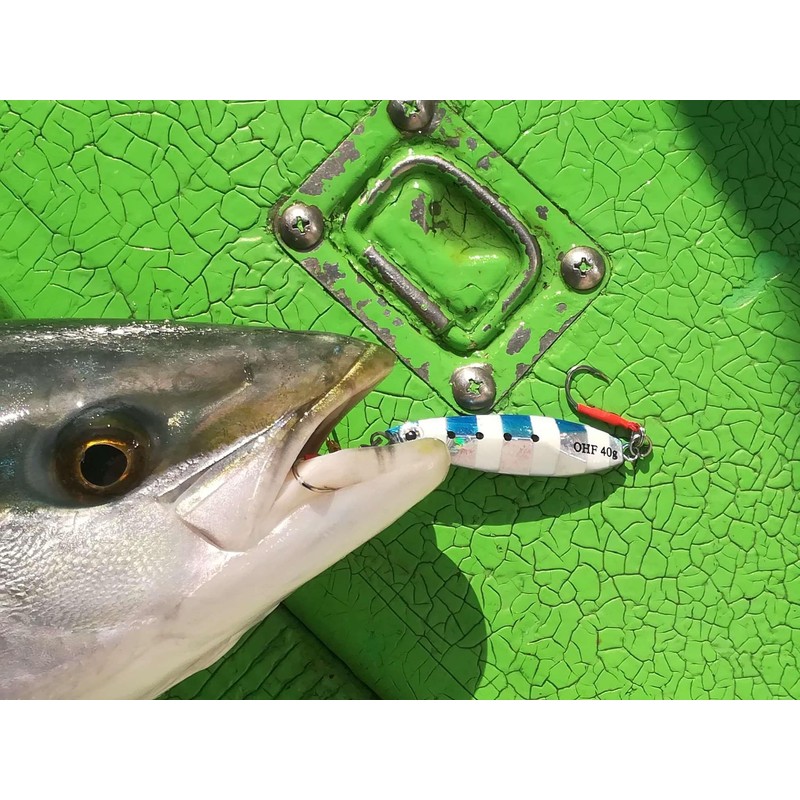 OHF Metal Jig Set Flounder, Jigging, Surf, Set of 5,