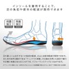 ZAMST Footcraft Series Insole, M (US women’s 7 - 8.5
